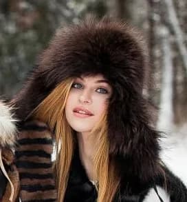 Raccoon