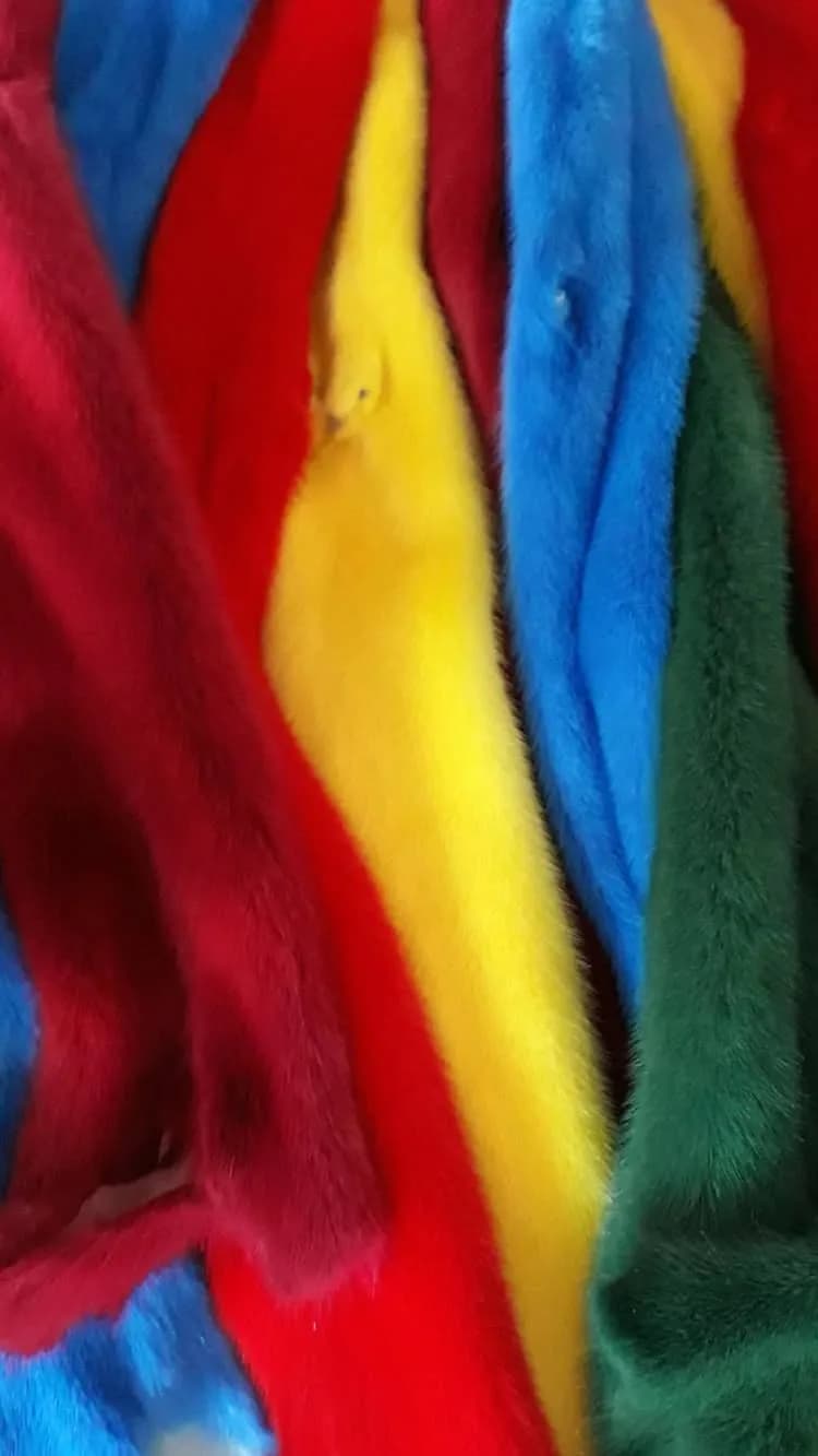 Bright mink pelts in green, red, yellow and blue