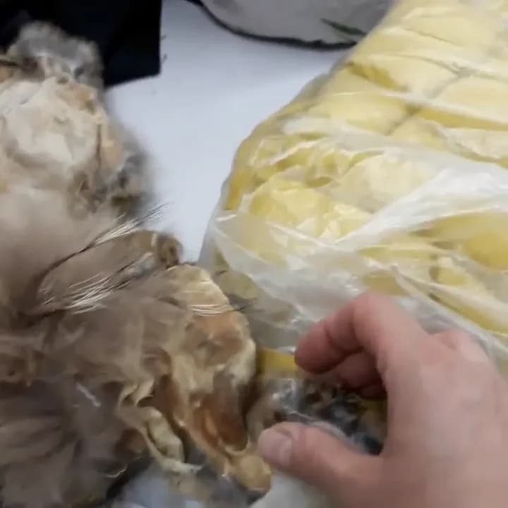 Replacing fur trim damaged by dry cleaning